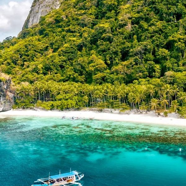 The Funny Lion El Nido