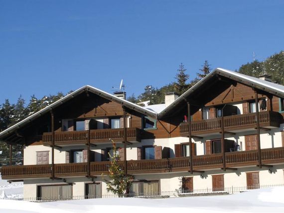 Fior D'Alpe