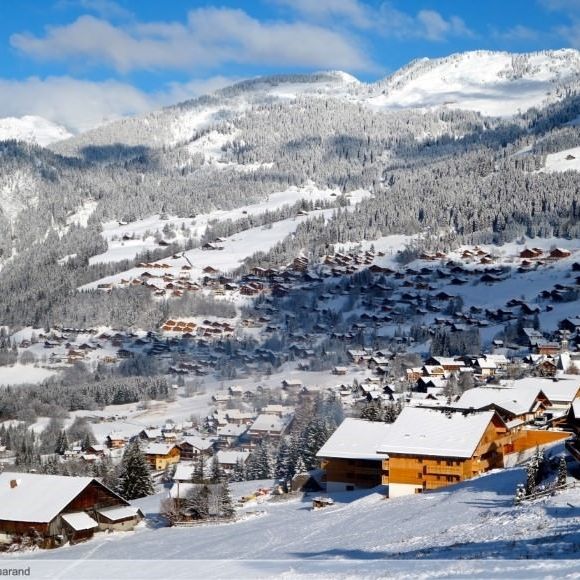 Les Residences Chatel
