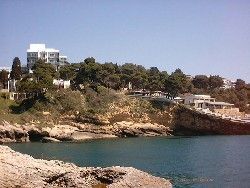 Galeb