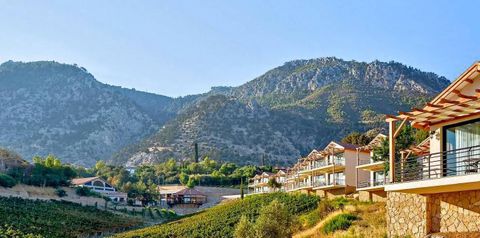 teren hotelu, balkon / taras