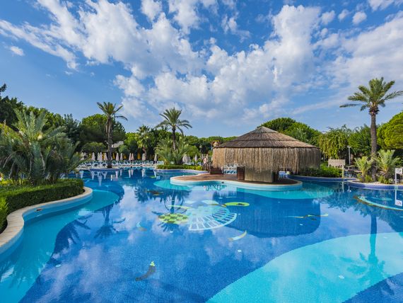 basen, pool bar