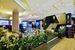 recepcja / lobby