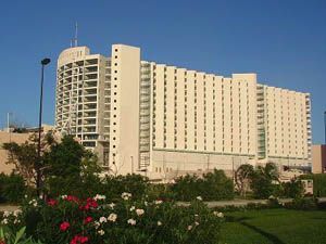 Great Parnassus