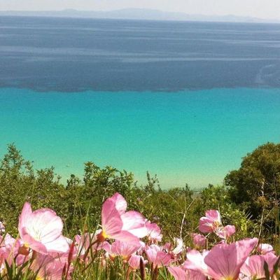 Aegean Blue Studios - Chalkidiki