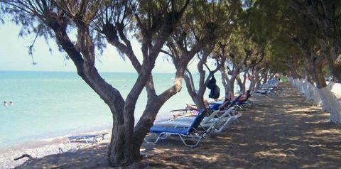 teren hotelu, plaża