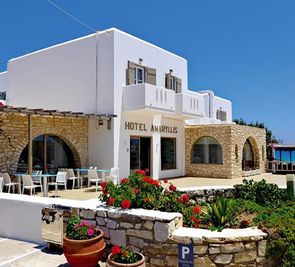 Amaryllis Paros