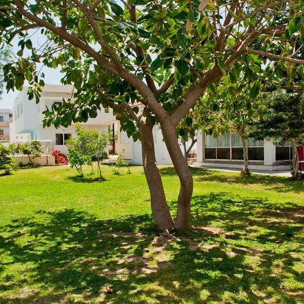 Aparthotel Thodorou