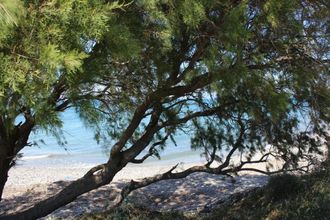 Asterias Bay Theologos