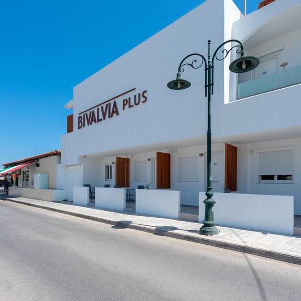 Bivalvia Beach Plus
