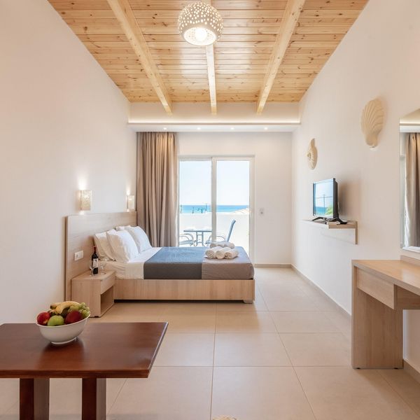 Bivalvia Beach Plus