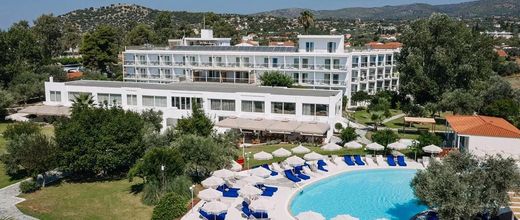 Brown Beach Evia Island (ex. Grand Bleu)