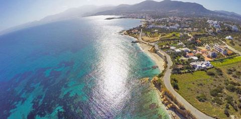 okolica