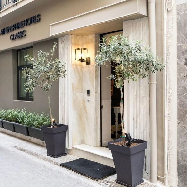 Classic by Athens Prime