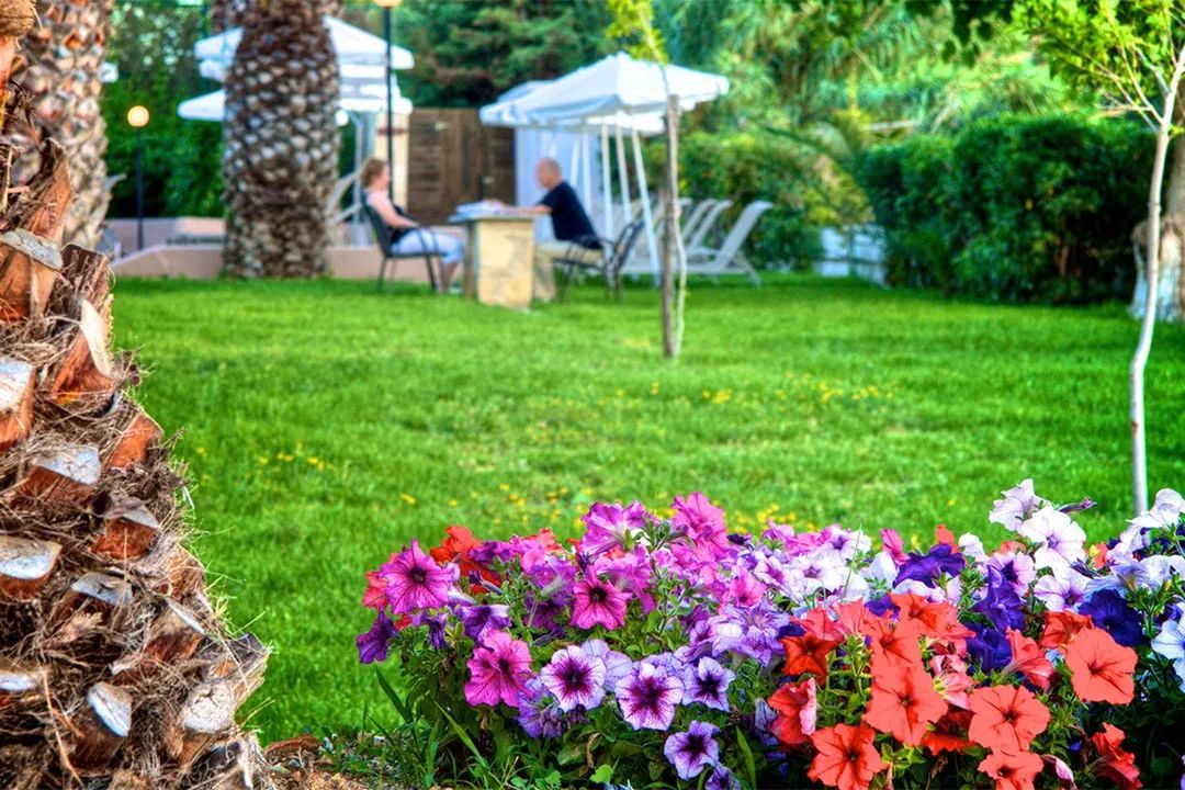 Dias by Azul - Zdjecie hotelu