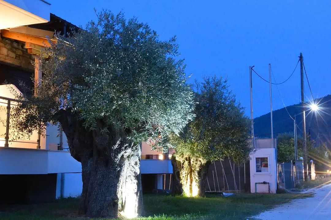 Dioscuri Luxury Apartments - obiekt