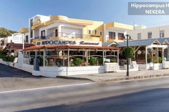 Hippocampus