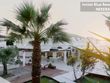Top Kavos