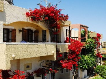 Malia Studios Apartments