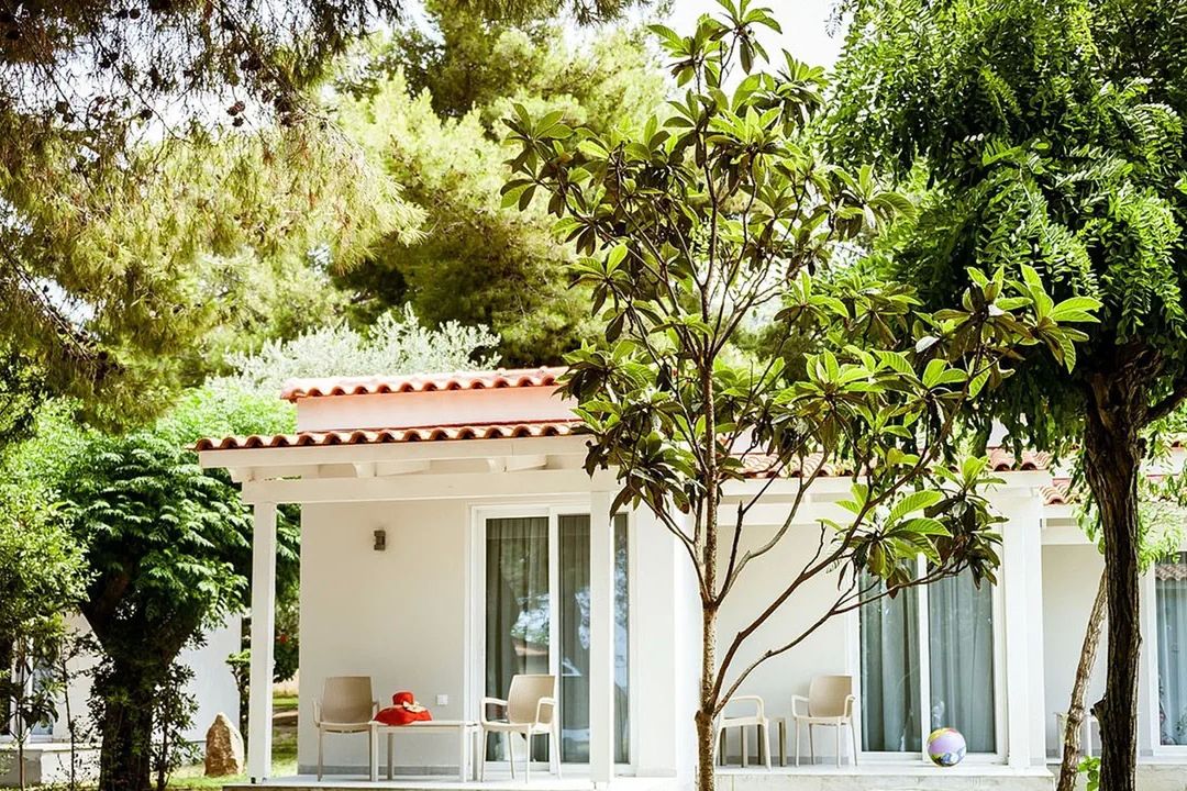 Mimoza Beach - teren hotelu