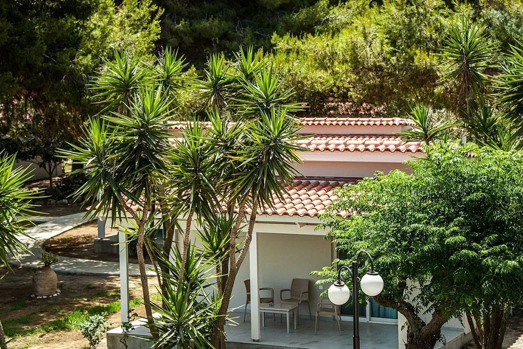 Mimoza Beach - teren hotelu