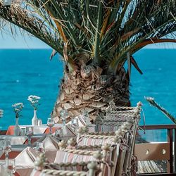 Canvas by Mitsis Cretan Village