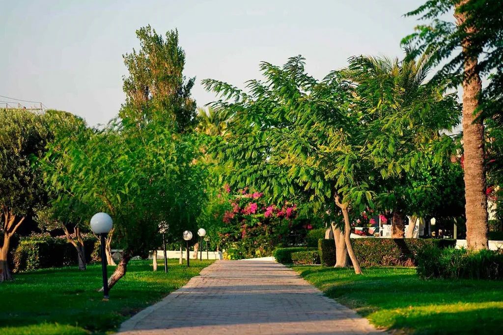 Mitsis Rodos Maris - teren hotelu