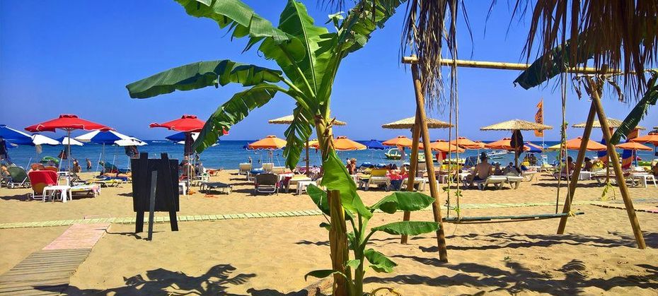 Summerland & Bungalows