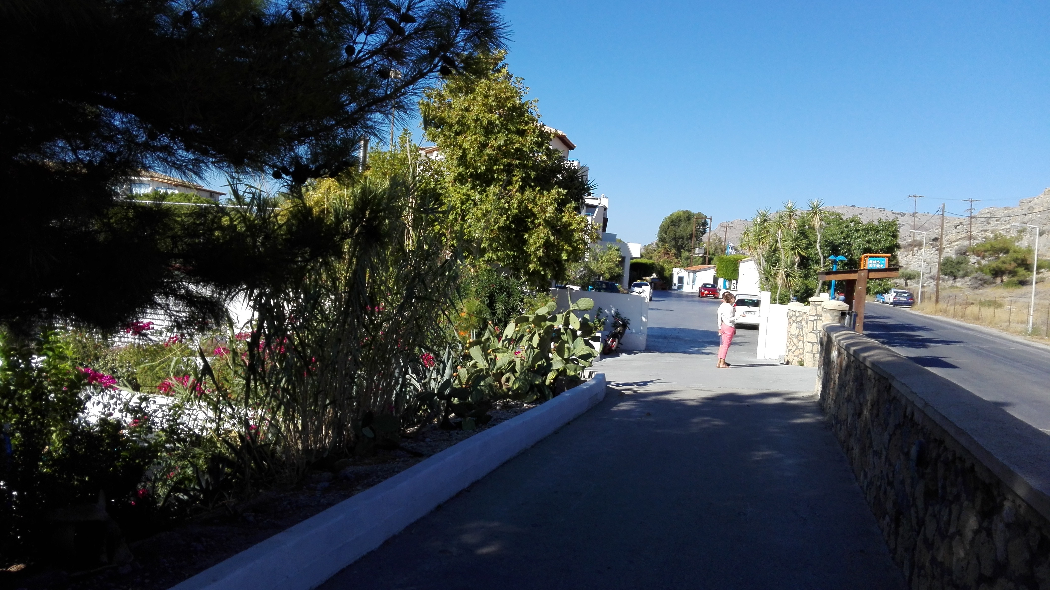 photo