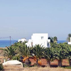 Sunshine Stalida