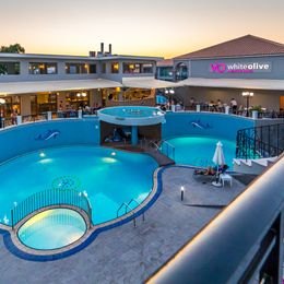 White Olive Premium (ex President Premium Complex)