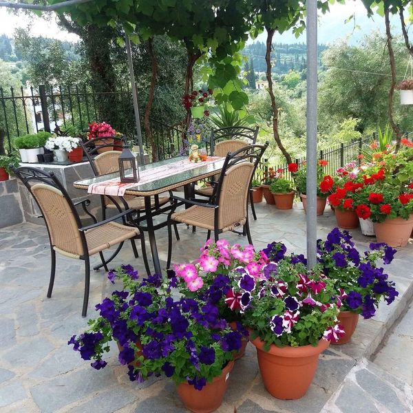Ziogas Luxury Apartments