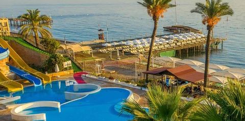 basen, plaża