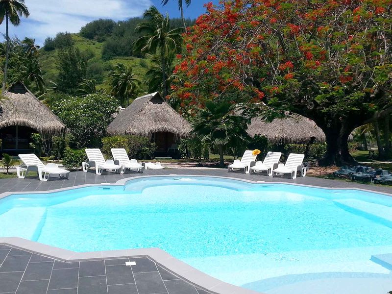 Hibiscus (Moorea)