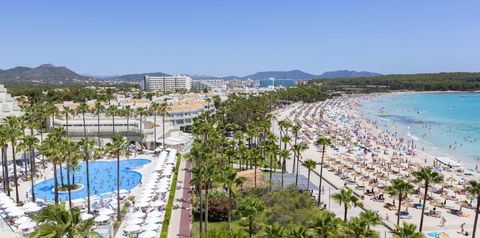 plaża, basen, teren hotelu