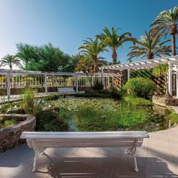 Abora Catarina ex Ifa Catarina