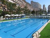 Albahia Alicante