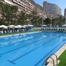 Albahia Alicante