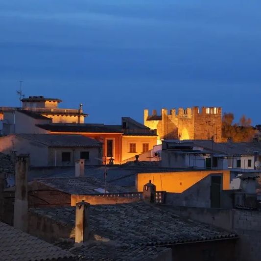 Alcudia Petit