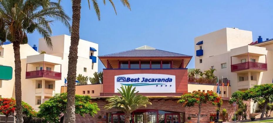Best Jacaranda