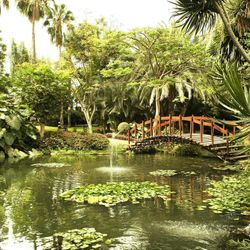 Botanico The Oriental Spa Garden