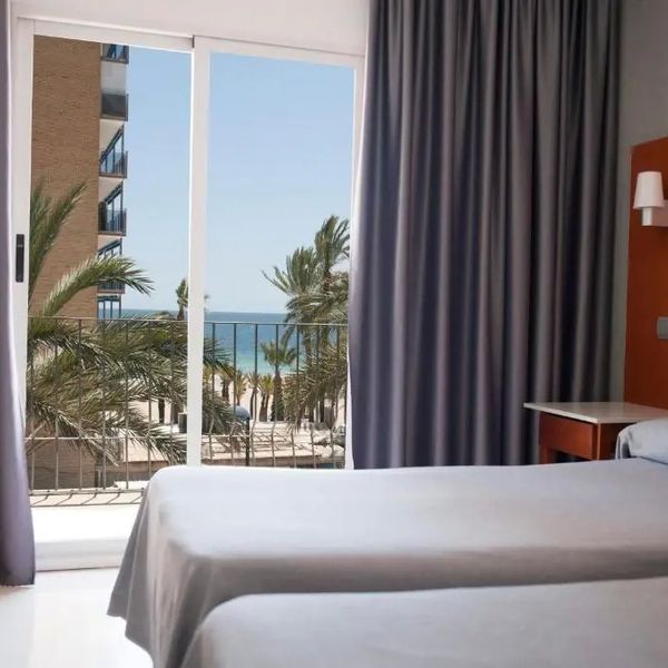 El Palmeral
