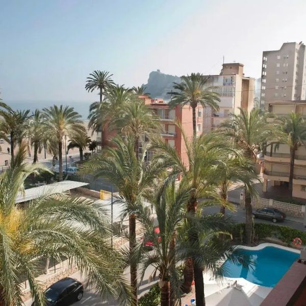 El Palmeral