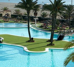 Evenia Zoraida Garden