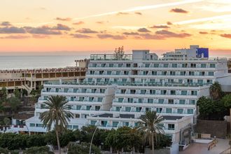 Fergus Cactus Garden ex Lemon Soul Cactus Garden