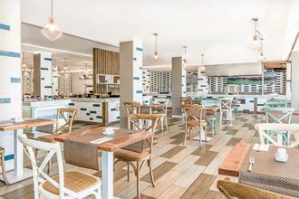 Fergus Cactus Garden ex Lemon Soul Cactus Garden