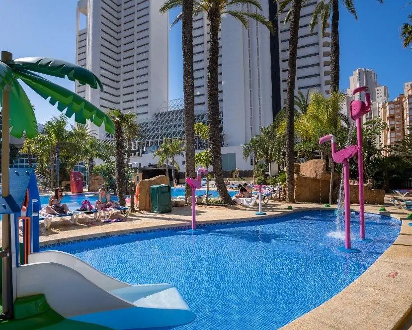 Flamingo Oasis