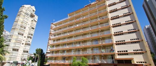 Gala Placidia (Benidorm)