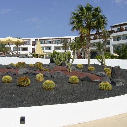 Hesperia Lanzarote