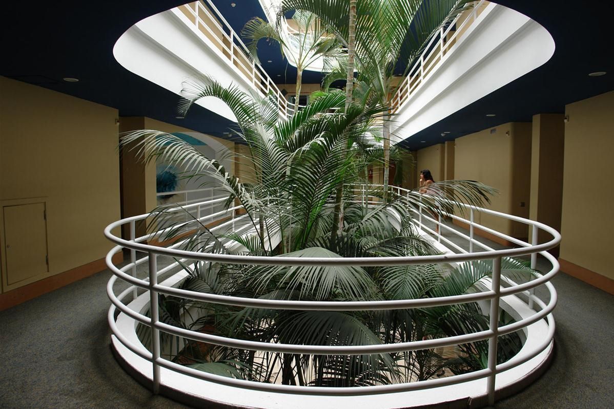 IFA Altamarena - teren hotelu